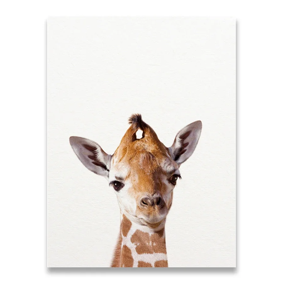 Baby Zebra Nursery - Lion Zebra Elephant Giraffe Baby Animals