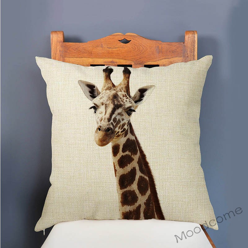 Cute Baby Setting Nursery Art  - Baby Zebra Nursery review and price
